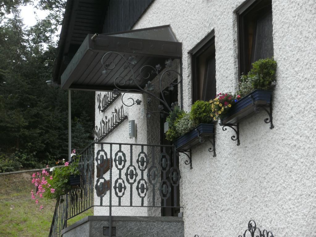 Pension Waldfrieden Maring-Noviand ภายนอก รูปภาพ